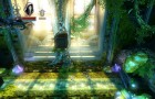 Trine